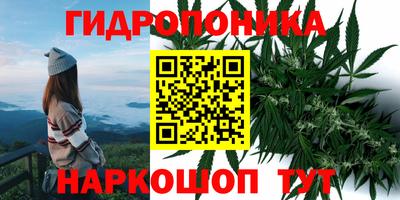 mix Славгород