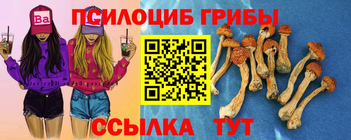 Псилоцибиновые грибы Psilocybe  Вход с VPN  Нягань  Псилоцибиновые грибы прущие грибы 