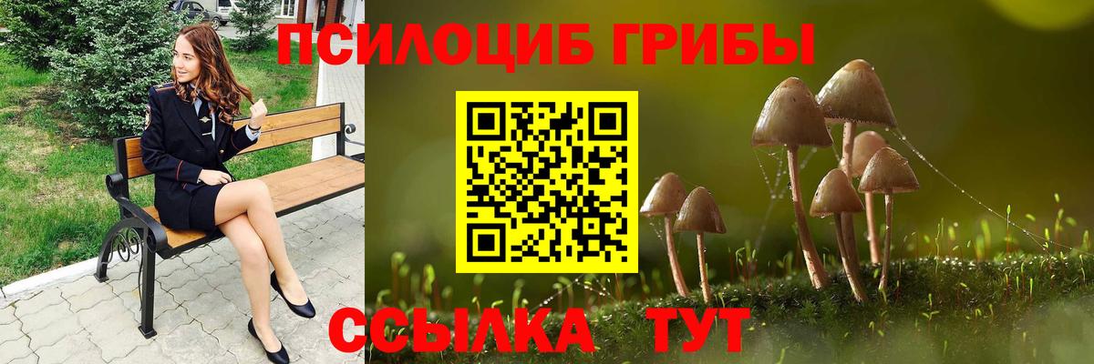 Псилоцибиновые грибы Psilocybine cubensis Нягань